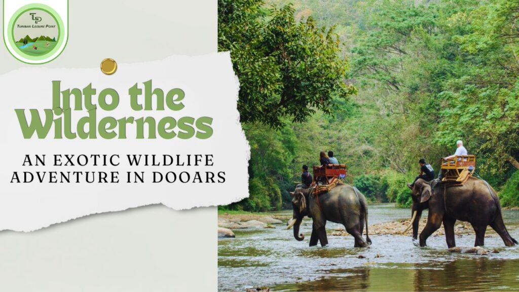 Elephant crossing river in Dooars by Turibari Leisure Point