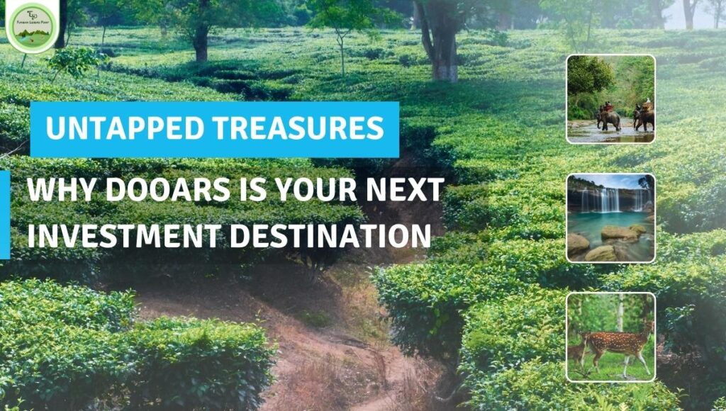 Untapped Treasures: Why Dooars, West Bengal is Your Next Investment Destination