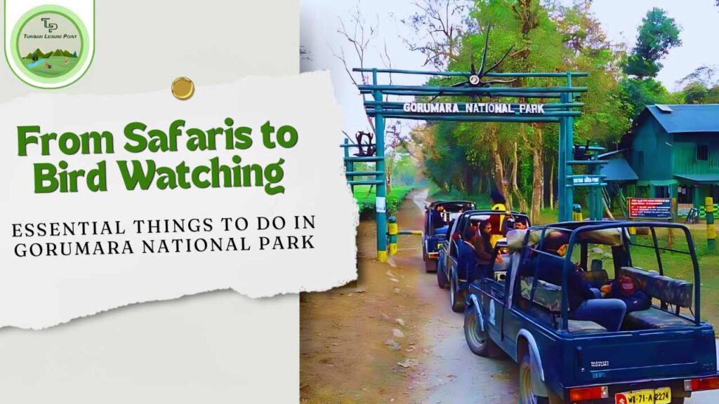 From Safaris to Bird Watching: Essential Things to Do in Gorumara National Park