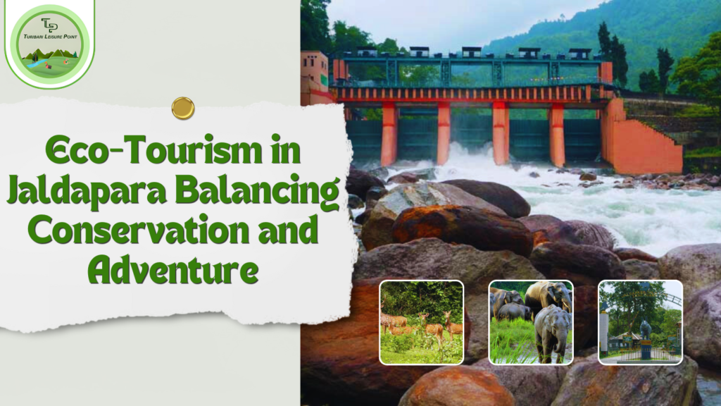 Eco-Tourism in Jaldapara: Balancing Conservation and Adventure