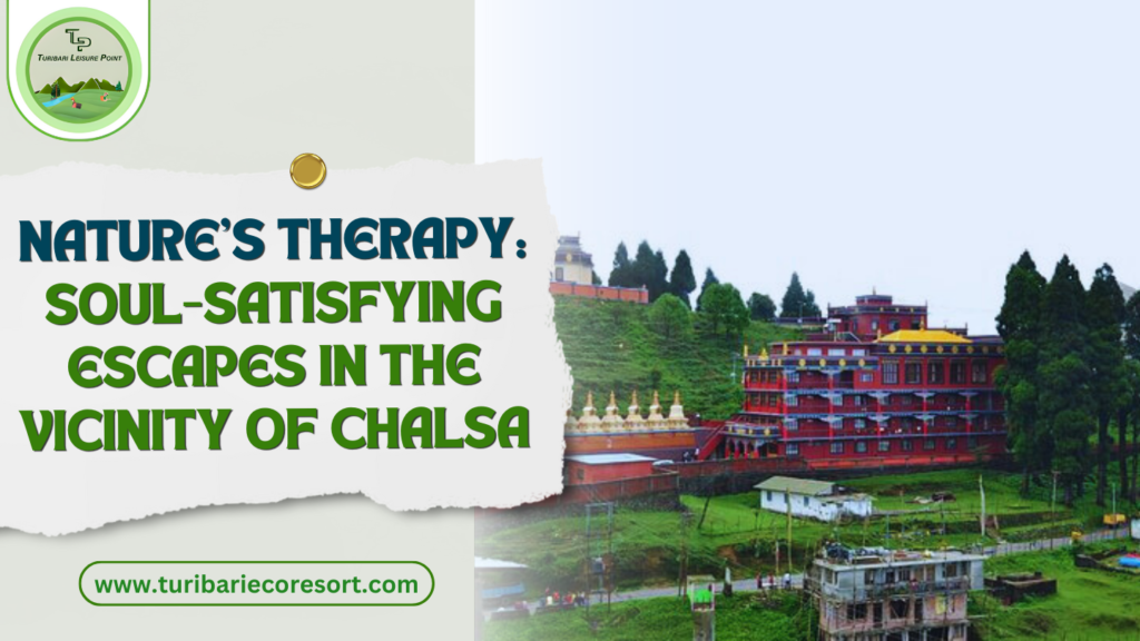 Nature’s Therapy: Soul-Satisfying Escapes in the Vicinity of Chalsa