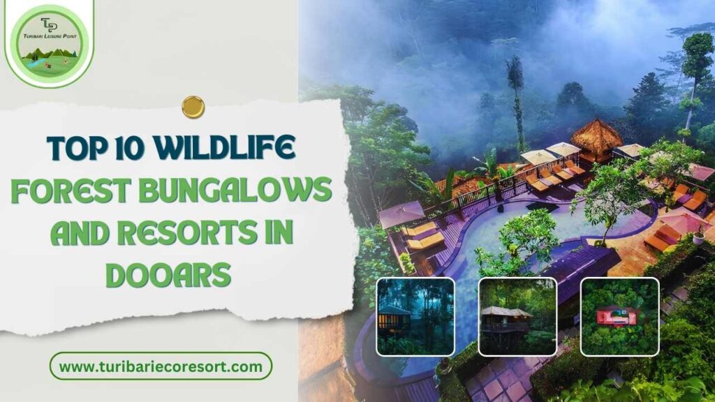 Top 10 Wildlife Forest Bungalows and Resorts in Dooars