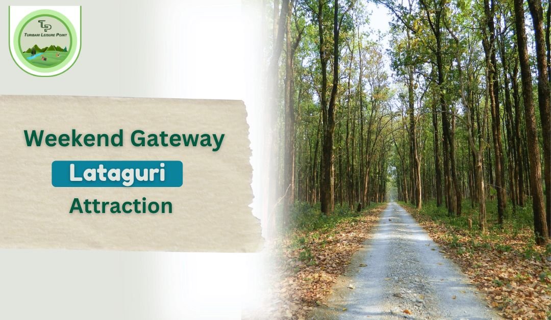 A Weekend Getaway to Lataguri: Relax, Rejuvenate, and Reconnect with Nature