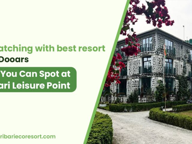 Birdwatching with best resort in the Dooars: What You Can Spot at Turibari Leisure Point